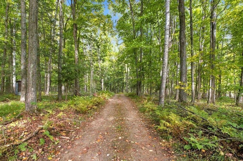 3050 Horseshoe Lake Rd, Crandon, WI 54520