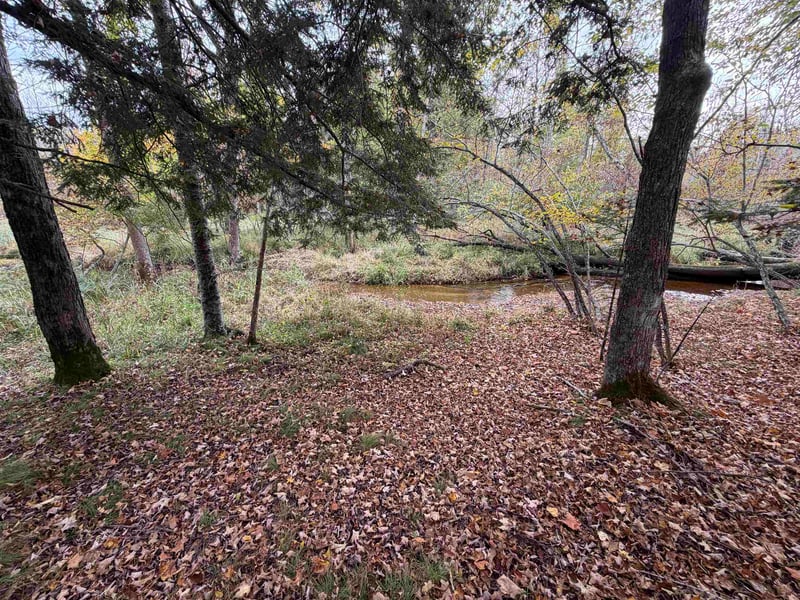 W12531 Mill Creek Ct, Gresham, WI 54128