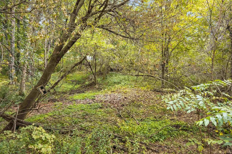 N Kelly Lake Rd #24, Suring, WI 54174