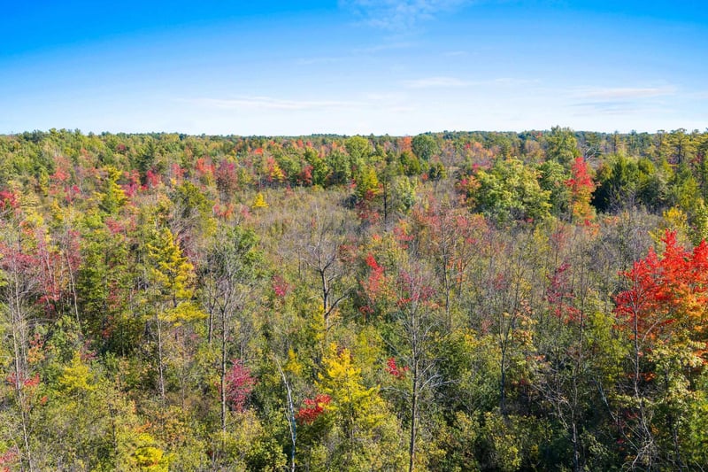 Tadpole Ln, Oconto, WI 54153