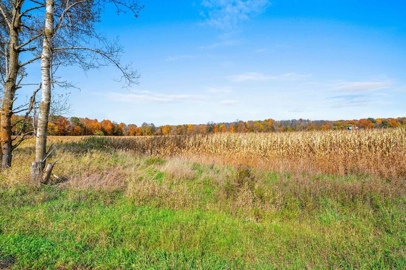 Evergreen Rd, Marion, WI 54950