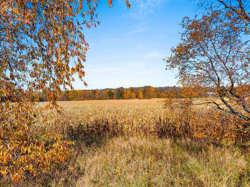 Evergreen Rd, Marion, WI 54950