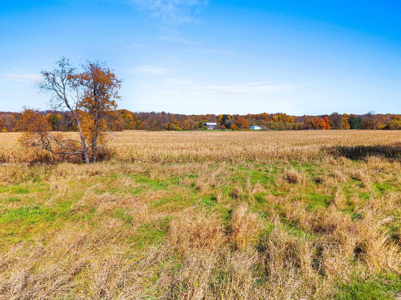 Evergreen Rd, Marion, WI 54950