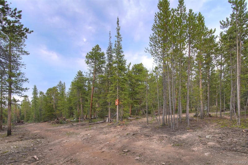 0190 Berlin Placer Rd Lot 2, Breckenridge, CO 80424