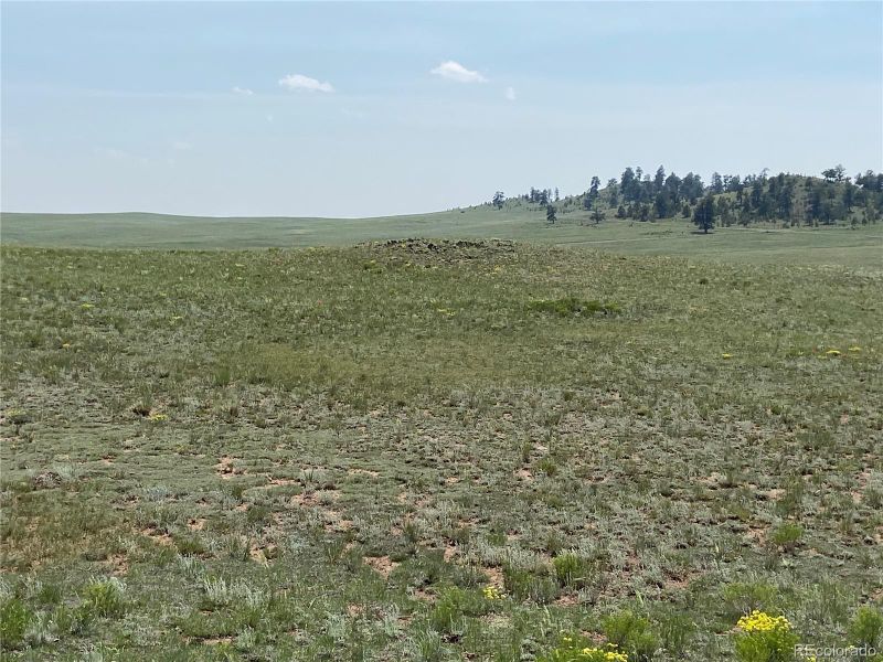 1166 Chicha Rd, Hartsel, CO 80449