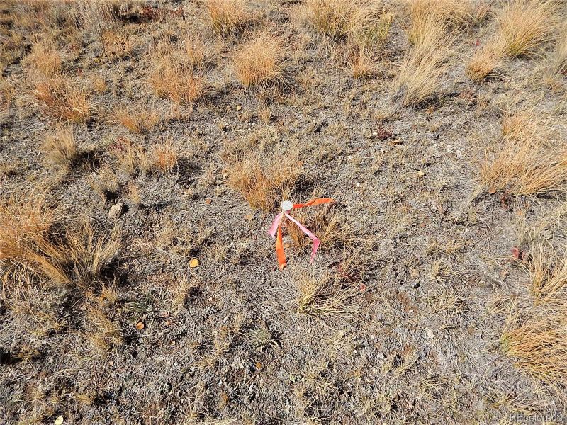 2239 Warrior Cir Lot 58, Como, CO 80432