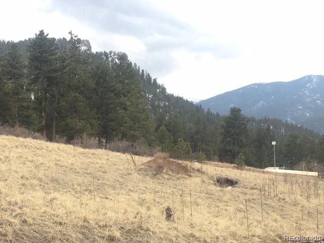 62430 Hwy 285, Bailey, CO 80421