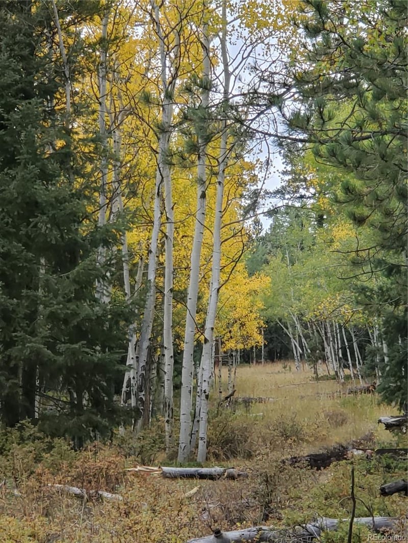000 Rampart Range, Sedalia, CO 80135
