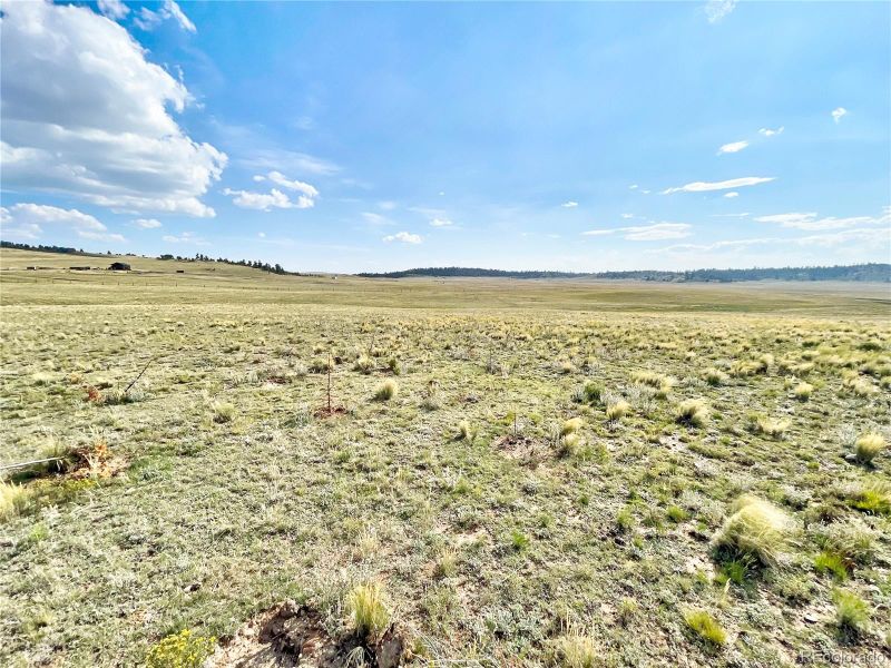 00 Kanakuk Trl, Hartsel, CO 80449