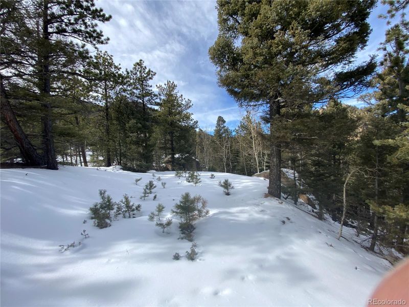 316 Summit Ridge Rd, Manitou Springs, CO 80829