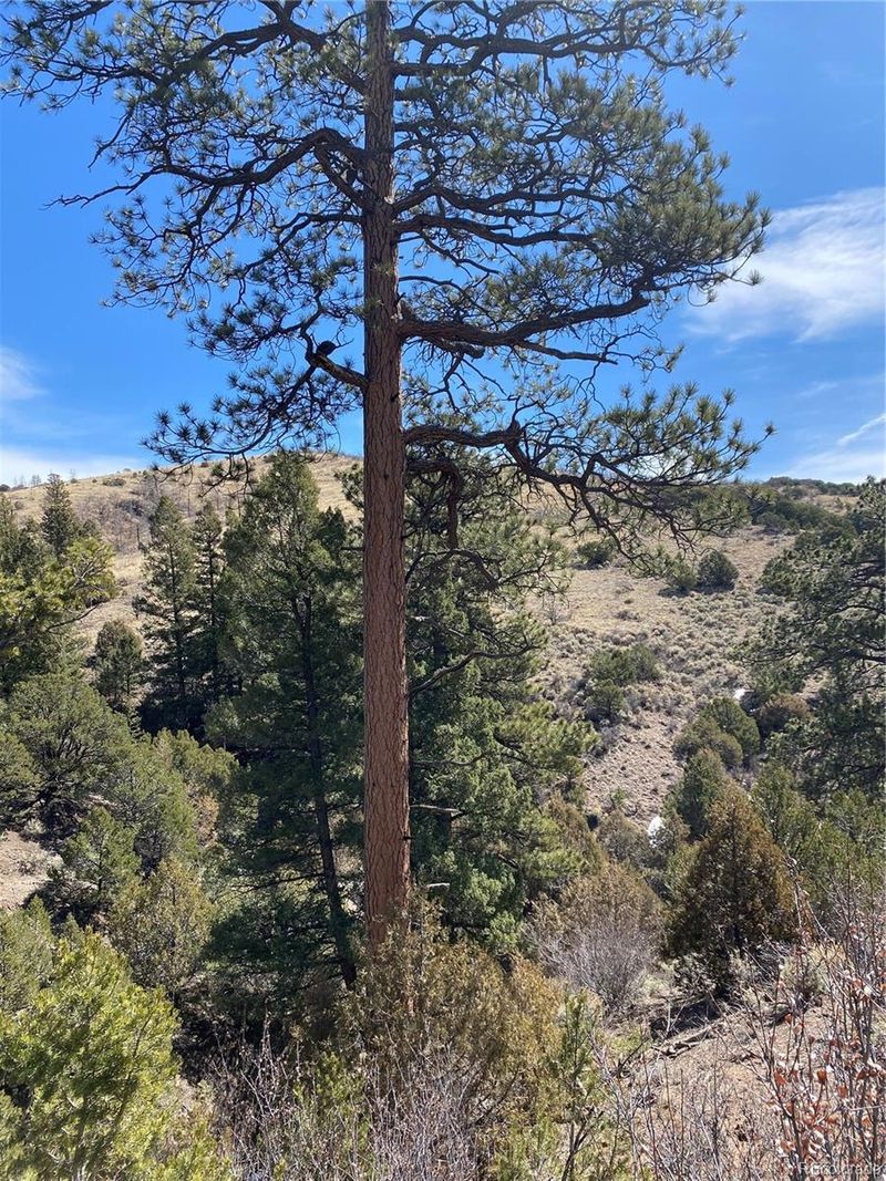 4647 Spring Rd Lot 4647, Fort Garland, CO 81133