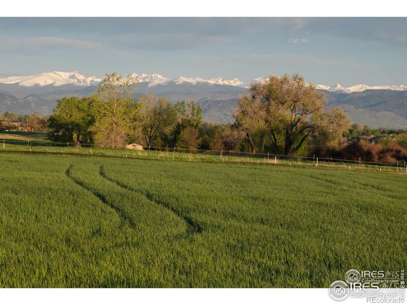 819 Latigo Loop, Lafayette, CO 80026