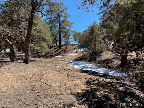 378 N Chaparral Way Lot 378, Crestone, CO 81131
