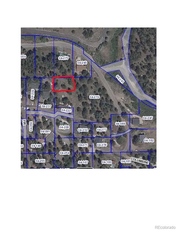 29663 Spruce Rd, Evergreen, CO 80439