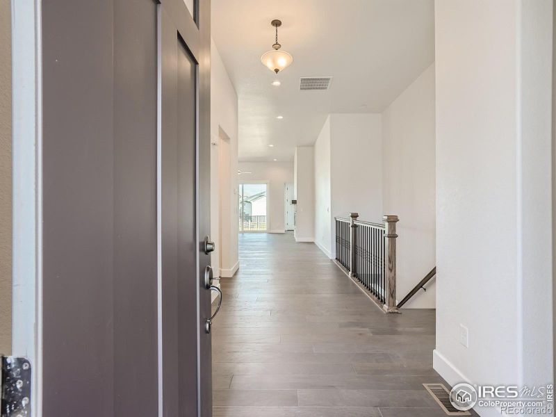1036 Monterra Ln, Timnath, CO 80547