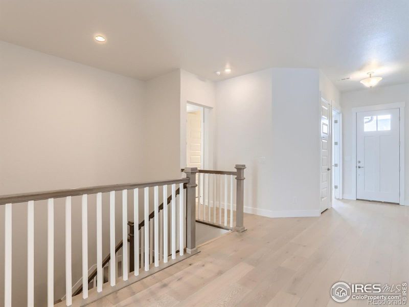 1827 Windfall Dr, Windsor, CO 80550