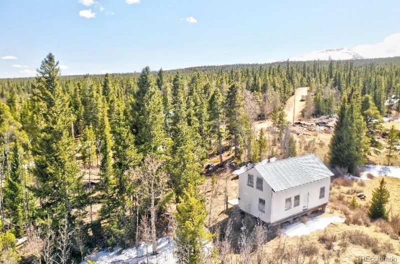 57 Bennett Rd, Fairplay, CO 80449