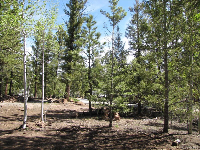 77 Pullman Loop S & N Lot 63, Hartsel, CO 80449