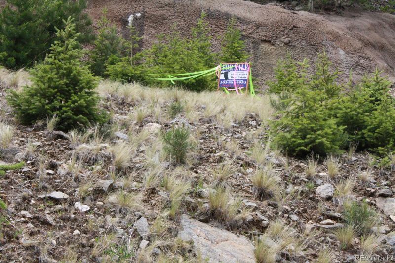0 Miners Rd, Black Hawk, CO 80422