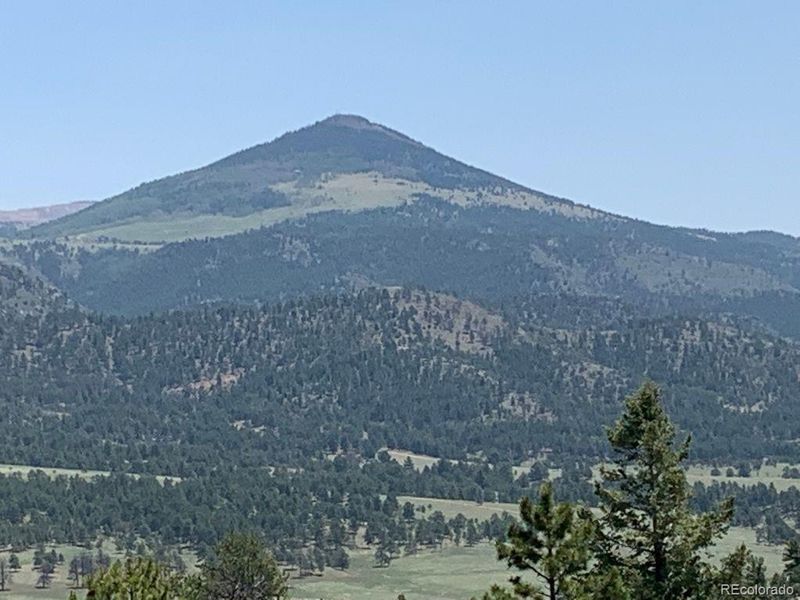 591 Star Gate Hts, Florissant, CO 80816