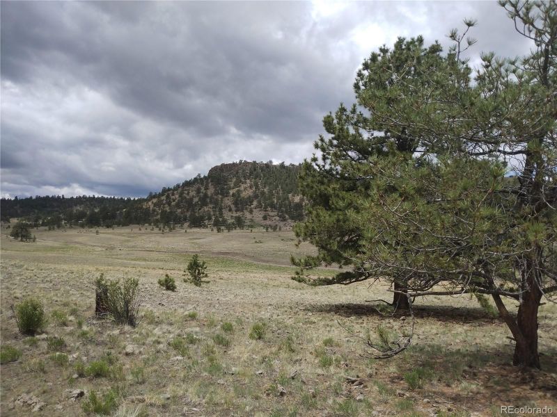 Kusha Rd, Hartsel, CO 80449