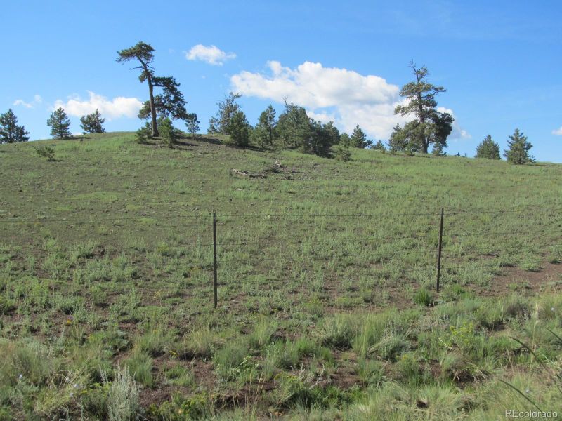 1075 Dwyer Trl, Hartsel, CO 80449
