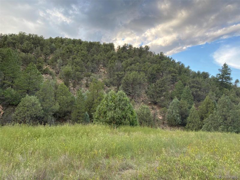 1268 Coyote Rn, Texas Creek, CO 81223