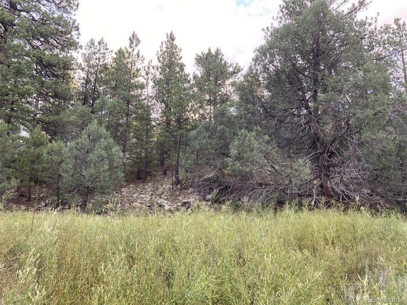 1268 Coyote Rn, Texas Creek, CO 81223