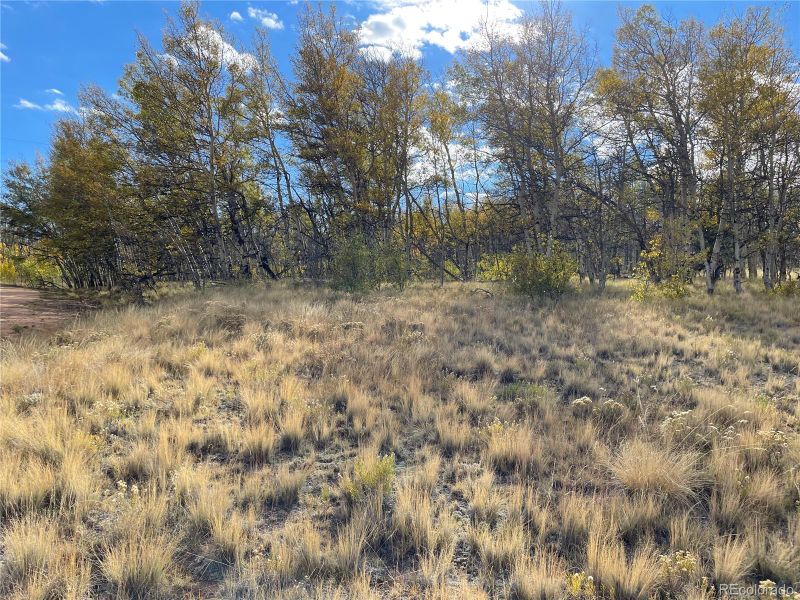 357 Pronghorn Dr, Como, CO 80432