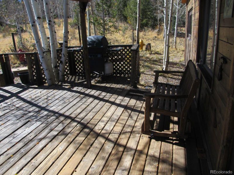 1829 Athapascan Rd, Hartsel, CO 80449