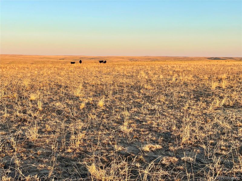 0002 County Road 166, Agate, CO 80105