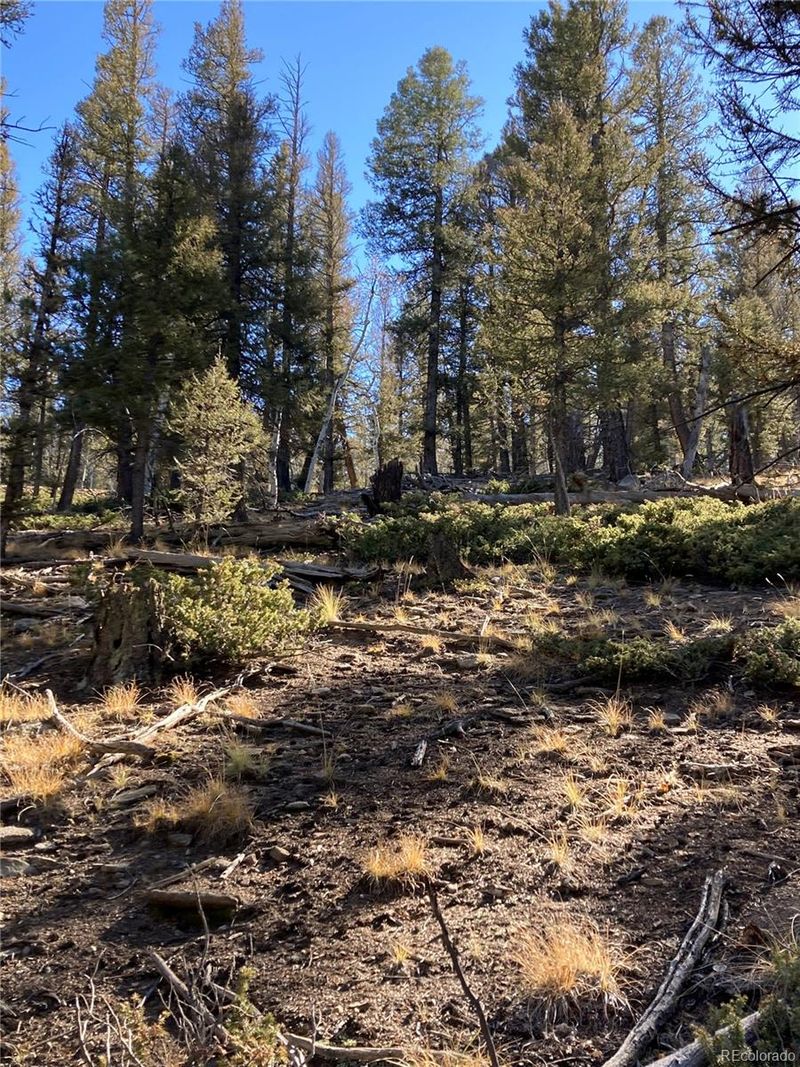 3940 Singletree Rd Lot 730, Hartsel, CO 80449