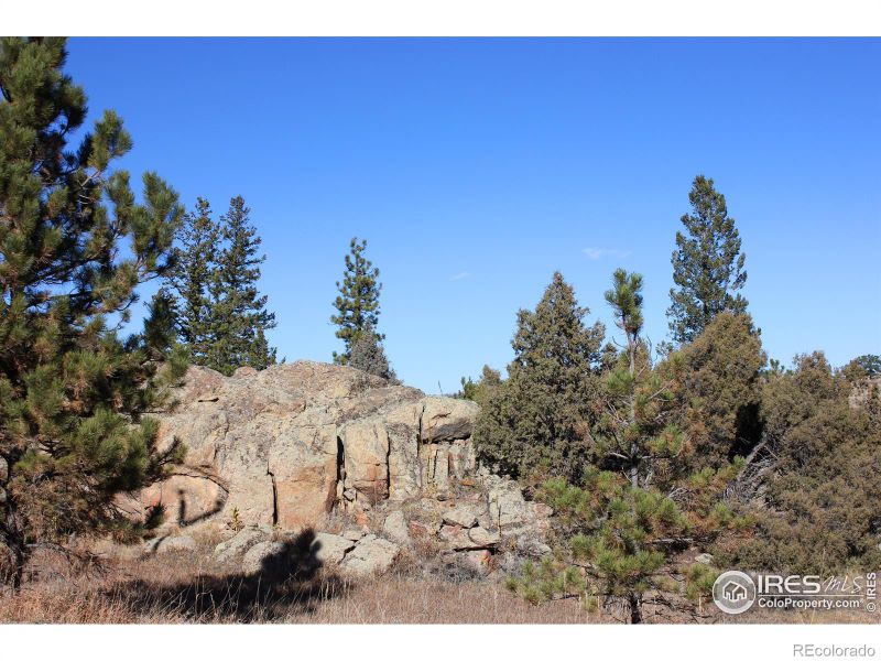 744 Montcalm Dr, Livermore, CO 80536