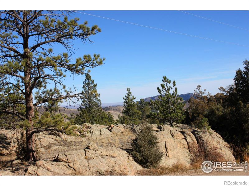 744 Montcalm Dr, Livermore, CO 80536