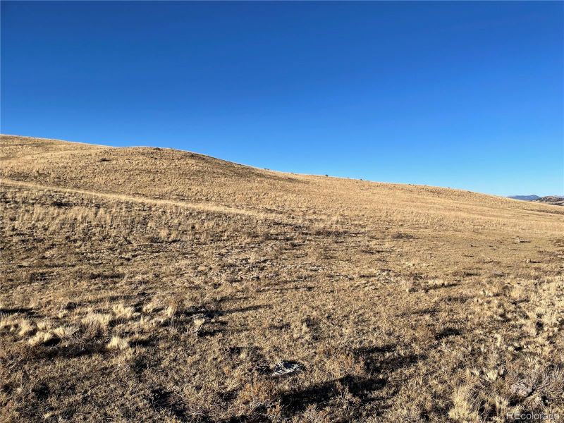 749 Zuni Rd, Hartsel, CO 80449