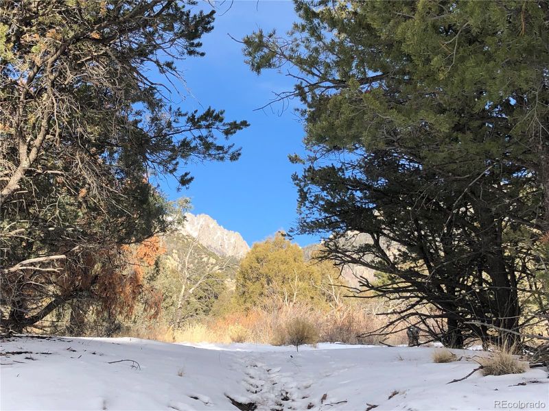 573C Cardinal Ol, Crestone, CO 81131