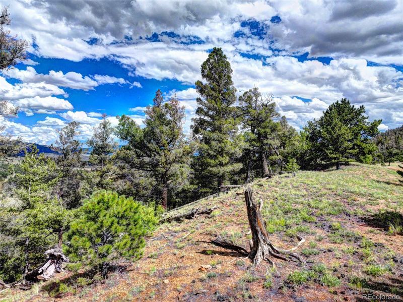 152 La Plata Dr, Hartsel, CO 80449