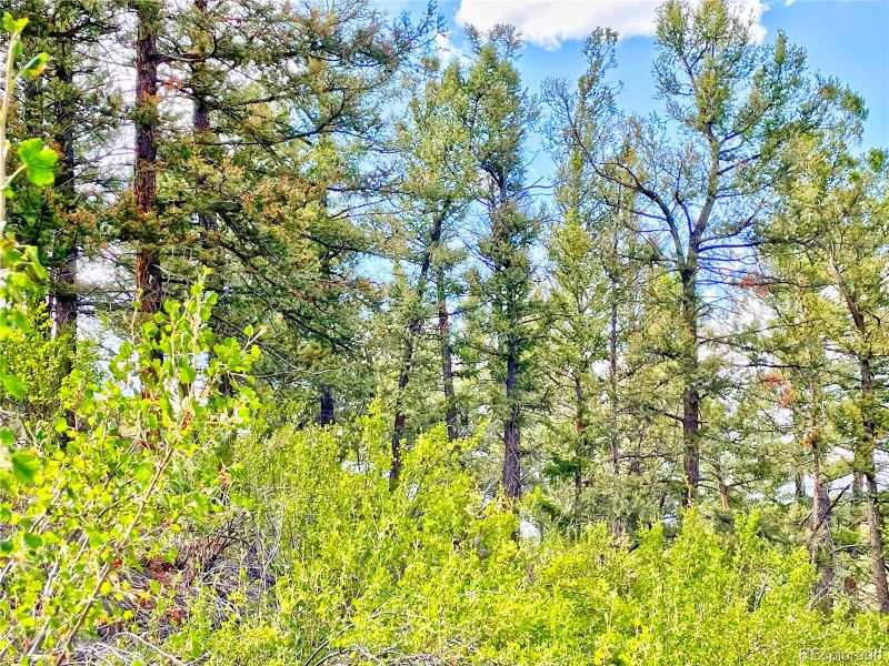 563 Redhill Rd, Fairplay, CO 80440