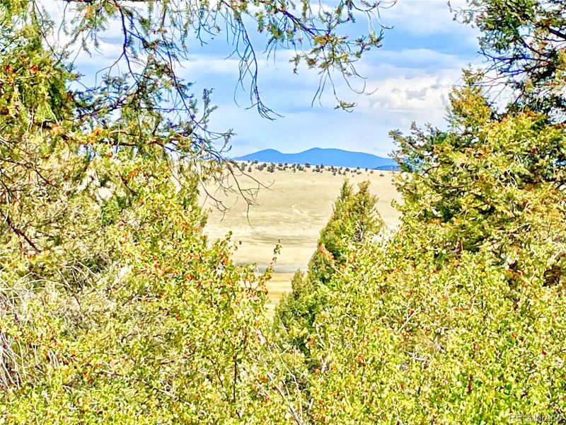 563 Redhill Rd, Fairplay, CO 80440