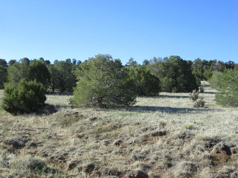 Lot 340 Rio Cucharas Phase #2 Lot 340, Walsenburg, CO 81089