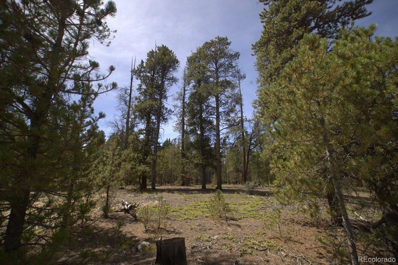 142 Birch Dr Lot 346, Twin Lakes, CO 81251