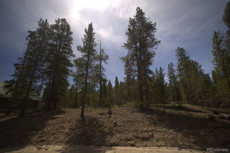142 Birch Dr Lot 346, Twin Lakes, CO 81251