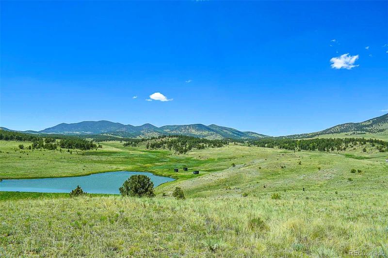 571 Old Kathleen Trl, Guffey, CO 80820