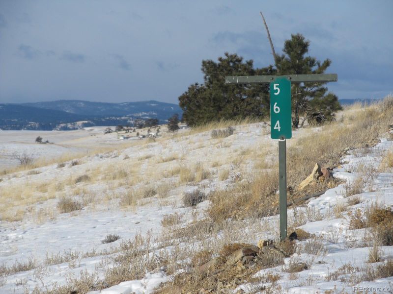 564 Chickamauga Trl Lot 899, Hartsel, CO 80449