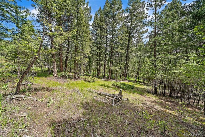 30540 Cobb Rd Lot 40 & 41, Evergreen, CO 80439