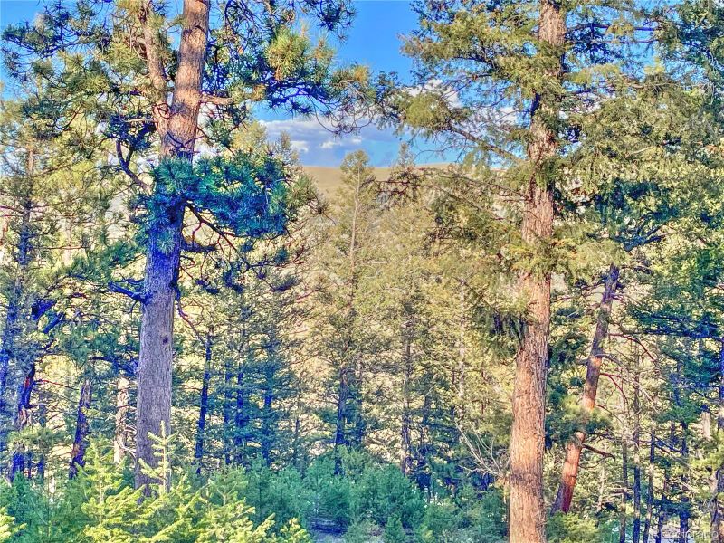 2359 Redhill Rd, Fairplay, CO 80440