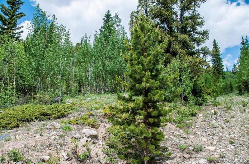 1112 Quartzville Rd, Alma, CO 80420