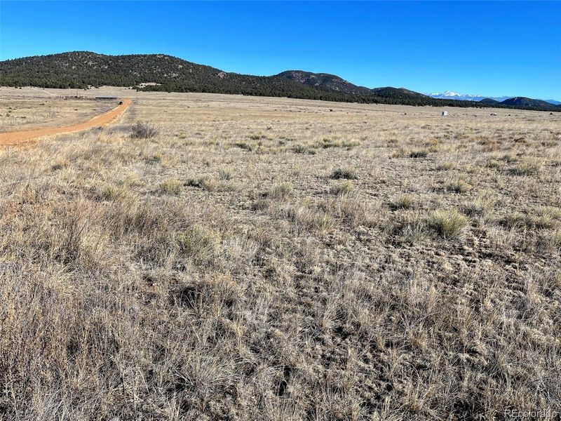 384 Burroback Ct, Cotopaxi, CO 81223