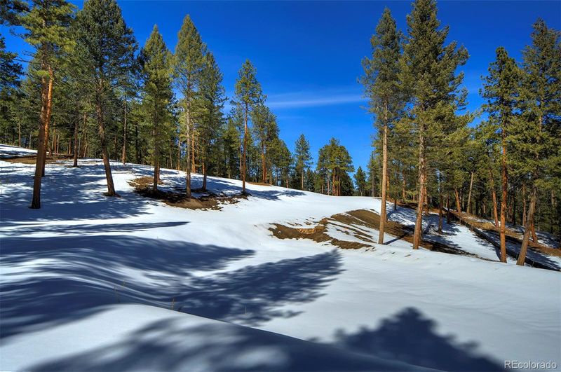 20606 Swaying Pine Dr Lot 6, Morrison, CO 80465