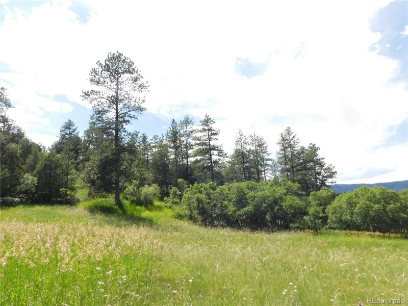 4890 Comanche Dr, Larkspur, CO 80118